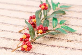 Fabric plants with berries on bamboo background.