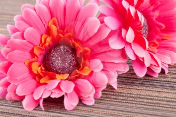 Pink artificial daisies on cloth background, closeup picture.