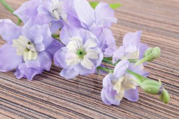 Violet artificial flowers on cloth background, closeup picture.