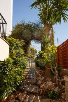 Beautiful backyard with bushes and trees at the house.