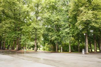 Trees in the park in Oslo, Norway.