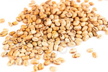 The heap of borlotti beans on a white background, close up picture.