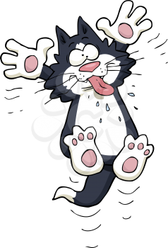 Mocking kitten on a white background vector illustration