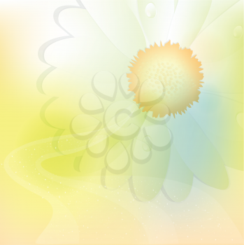 Cute floral background, vector illustration
