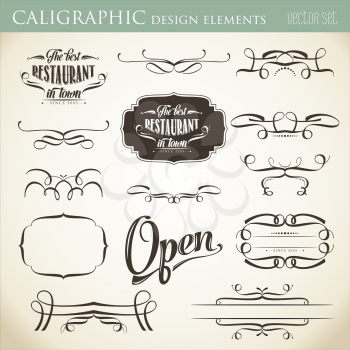 calligraphic design elements to embellish your layout, vector format