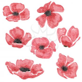 watercolor poppy  flowers set  isolated on white background, vector format