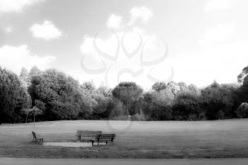 Alone bench in the park during early spring day