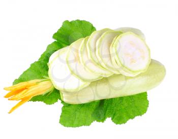 White vegetable  marrow with green foliage and yellow blossom on white background. Isolated over white