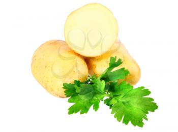 Young potatoes, decorating of parsley . Isolated over white