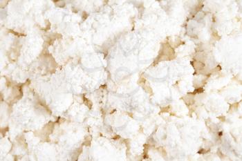 Fresh cottage cheese (curd) heap, isolated on white background.