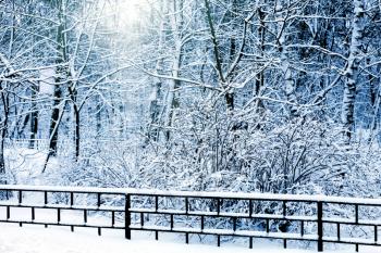 Silent snow-covered urban park in winter. Russia