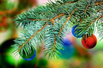 Christmas and New Year decoration-balls on fir tree.