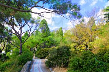 Tropical park in Crimea, Ukraine