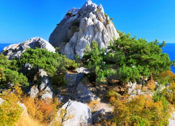  South part of Crimea peninsula, beach   landscape. Pines