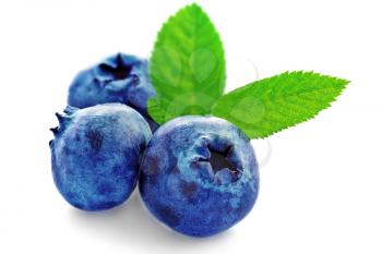 Royalty Free Photo of Three Blueberries