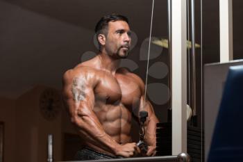 Mexican Bodybuilder Doing Heavy Weight Exercise For Triceps