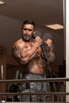 Mexican Bodybuilder Doing Heavy Weight Exercise For Biceps