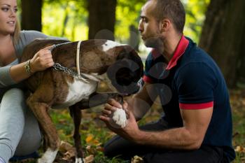 Couple Playing With Dog