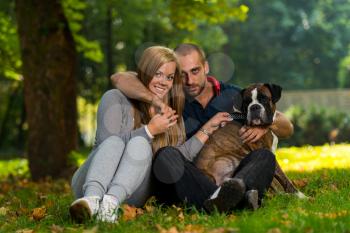 Happy Couple With German Boxer