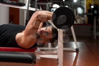 Man In The Gym Exercising Triceps With Barbell
