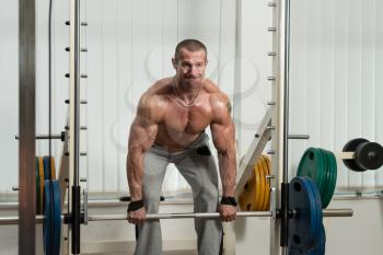 Healthy Male Doing Back Exercises In The Gym With Barbell