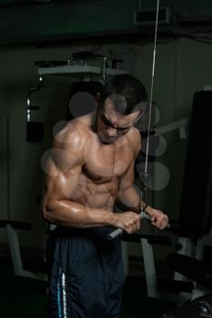 Young Man Exercise In The Gym - He Is Performing Two Arm Triceps Push Downs