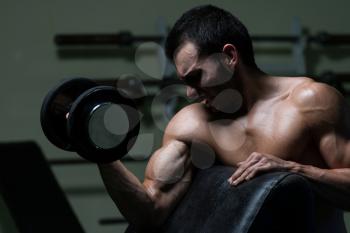 Young Man Working Out Biceps - Dumbbell Concentration Curls