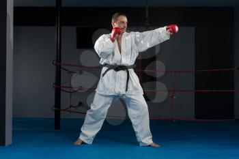 Young Man Practicing His Karate Moves - White Kimono - Black Belt