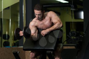 Young Man Working Out Biceps - Dumbbell Concentration Curls