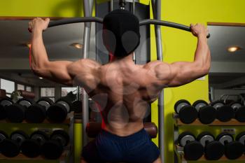 Young Bodybuilder Doing Heavy Weight Exercise For Back