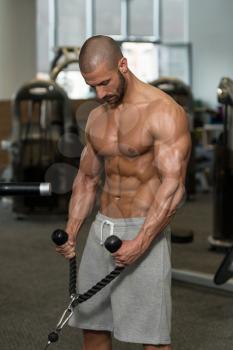 Young Bodybuilder Doing Heavy Weight Exercise For Biceps