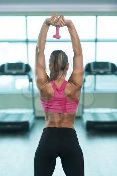 Healthy Fitness Woman Working Out Triceps With Dumbbell In A Gym