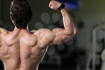 Young Man Standing Strong In The Gym And Flexing Rear Double Biceps Pose - Muscular Athletic Bodybuilder Fitness Model Posing Exercises