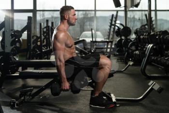 Bodybuilder Working Out Biceps In The Gym - Dumbbell Concentration Curls