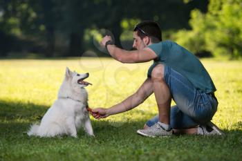 Young Man Sitting With Dog German Spitz In Park - He Cleans Him