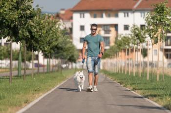 Young Man And German Spitz Walk In The Park - He Keeps The Dog On The Leash