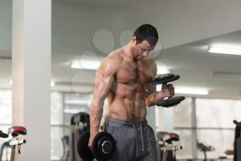 Handsome Hairy Man Working Out Biceps In A Fitness Center Gym - Dumbbell Concentration Curls