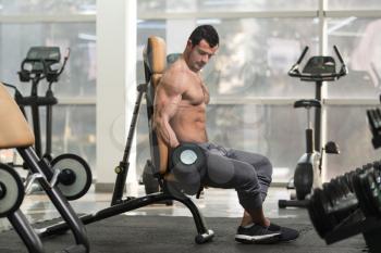 Healthy Hairy Man Working Out Biceps In A Fitness Center Gym - Dumbbell Concentration Curls