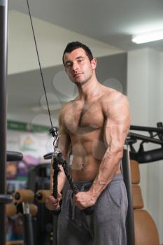 Young Hairy Muscular Fitness Bodybuilder Doing Heavy Weight Exercise For Triceps On Machine In The Gym