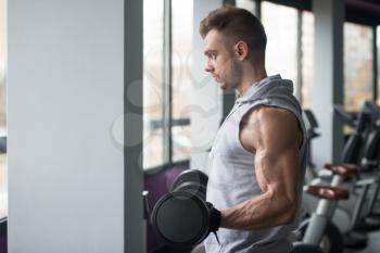 Young Man Working Out Biceps In Gym - Dumbbell Concentration Curls