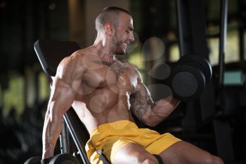 Athlete Working Out Biceps In A Gym - Dumbbell Concentration Curls