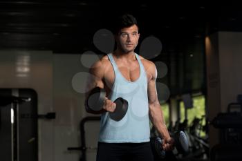 Handsome Man Working Out Biceps In A Fitness Center Gym - Dumbbell Concentration Curls