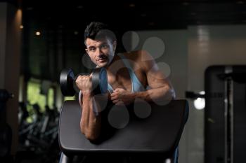 Healthy Man Working Out Biceps In A Fitness Center Gym - Dumbbell Concentration Curls