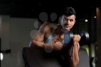 Handsome Man Working Out Biceps In A Fitness Center Gym - Dumbbell Concentration Curls