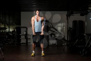 Healthy Man Working Out Biceps In A Fitness Center Gym