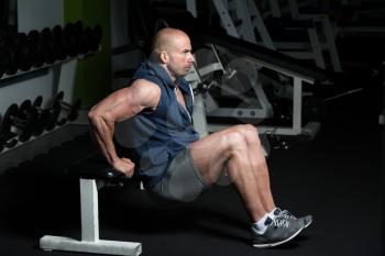 Strong Man In The Gym Exercising Triceps On Bench - Muscular Athletic Bodybuilder Fitness Model Exercise