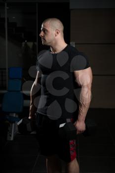 Athlete Working Out Biceps In A Gym - Dumbbell Concentration Curls