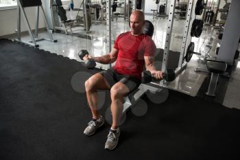 Man Working Out Biceps In A Gym - Dumbbell Concentration Curls