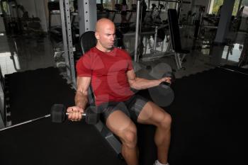 Athlete Working Out Biceps In A Gym - Dumbbell Concentration Curls