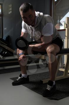 Athlete Working Out Biceps In A Gym - Dumbbell Concentration Curls